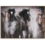 Chaseburn Wall Art
