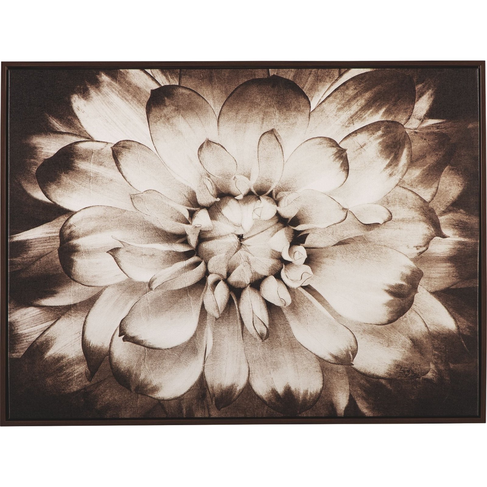 1_f28f516e-f134-458e-8245-b60184646ba1.jpg Phiala Wall Art - Image 1